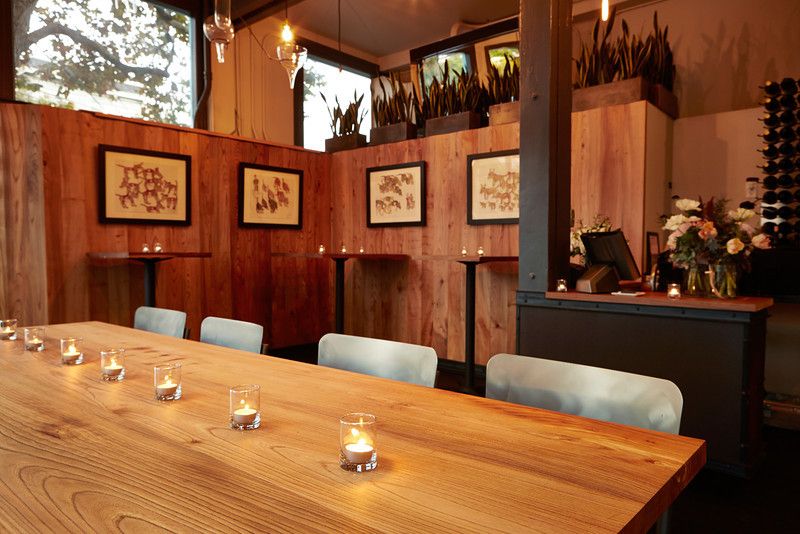 5-ChocolateLab-interior.jpg