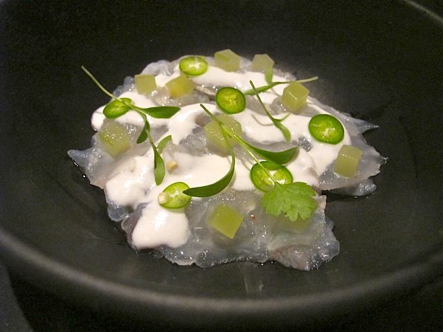1-1601-halibut-ceviche.jpg