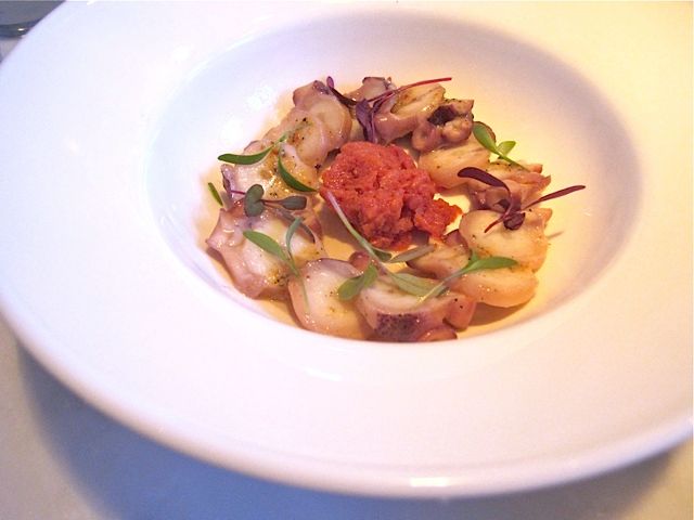 2-1601-octopus.jpg
