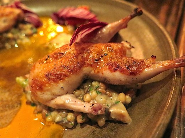 7-verbena-quail.jpg