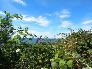 Lummi Island, Washington