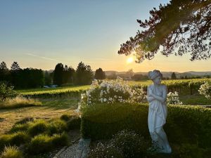 This week’s newsletter: spring to life.