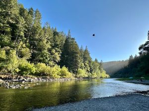 This week’s tablehopper: take a bite. (free)