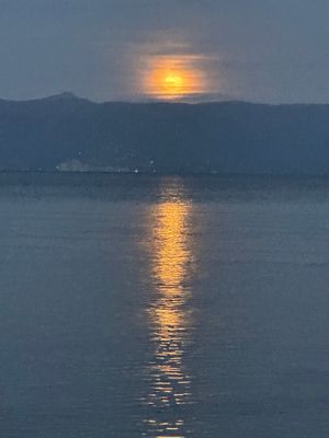 This week’s tablehopper: back to life, back to reality. (free)