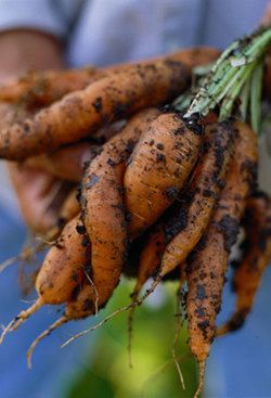 First Look at Chalkboard Menu, BottleRock Food Lineup, Oxbow Gets a Distillery