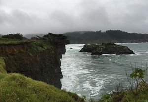 Mendo Bound, Keller's Ad Lib, Dry Creek's New Chef, Milk Bread