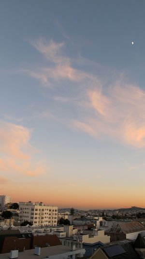 December  8, 2009 - hey fruitcake.