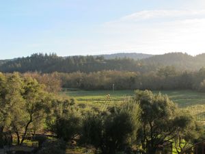 This week's tablehopper: springing forward.