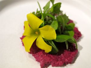 February 25, 2011 - This week's tablehopper: dishy.