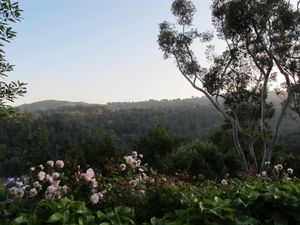 May 24, 2011 - This week's tablehopper: taking care.