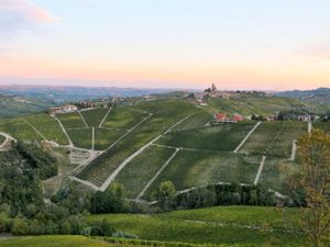 October 11, 2011 - This week's tablehopper: the Barolohopper.