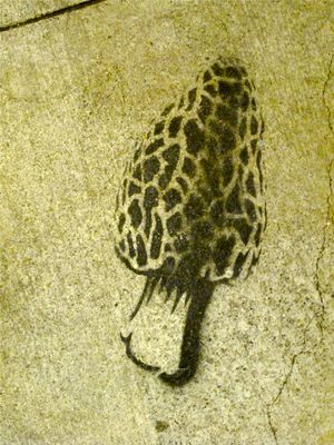 This week's tablehopper: shake, rattle, and let the good times roll.