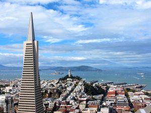 This week's tablehopper: fall color.