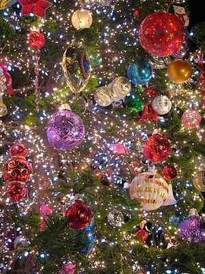 December 18, 2012 - This week's tablehopper: holidazed.