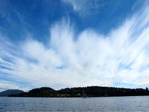 This week's tablehopper: a patch of blue.