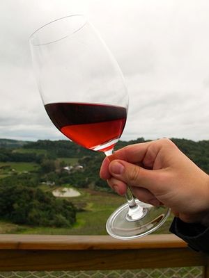 January 10, 2014 - This week's tablehopper: wine (and whine).