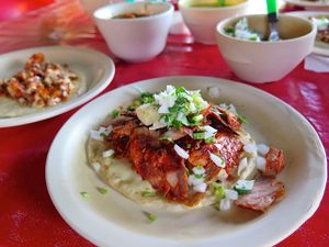 This week's tablehopper: beach bummin'.