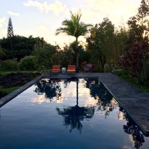 This week's tablehopper: howzit?