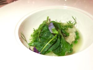 April 12, 2016 - This week's tablehopper: leaving on a jet plane.