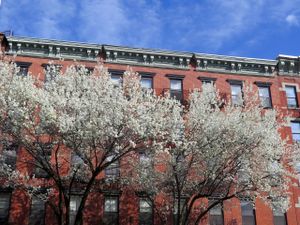 This week's tablehopper: spring affair.