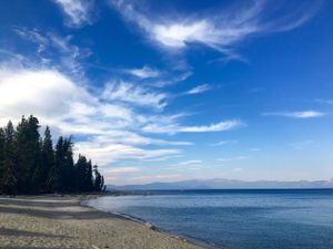 This week's tablehopper: homeward bound.