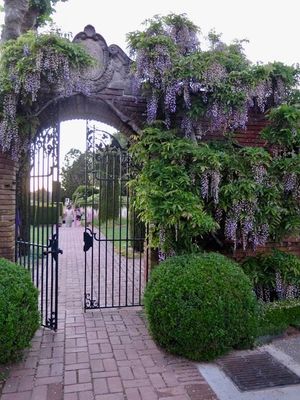 This week's tablehopper: there will be baked Alaska.