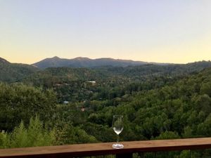 October 10, 2017 - This week's tablehopper: con amor.