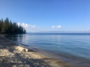 This week's tablehopper: mountain high.