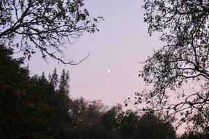 This week's tablehopper: smoke gets in your eyes.