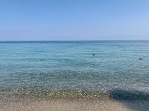 September 15, 2020 - This week's tablehopper: crystal blue persuasion.