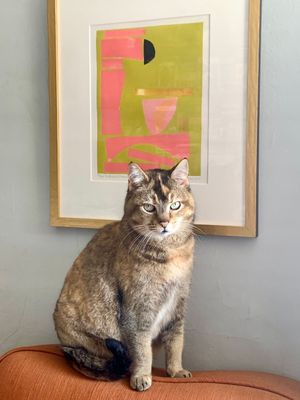 This week's tablehopper: lucky cat, lucky lady.