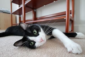 In 2012, It's Time for These Things to Be Shelved