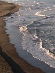 Moonraker (Re)Opening in Pacifica