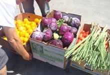 A Reminder About the Wonderful Service Provided by Food Runners