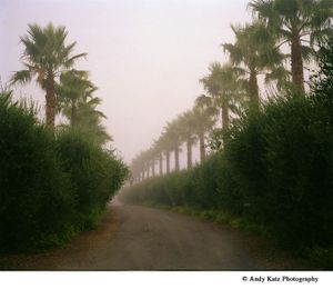 Celebrate Earth Day in Green Valley