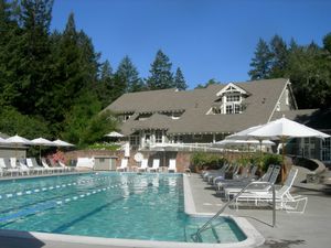 Curse Me Now, Thank Me Later