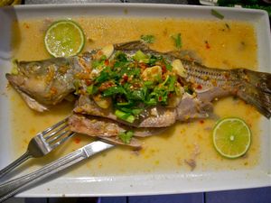 Lers Ros Coming to Hayes Valley