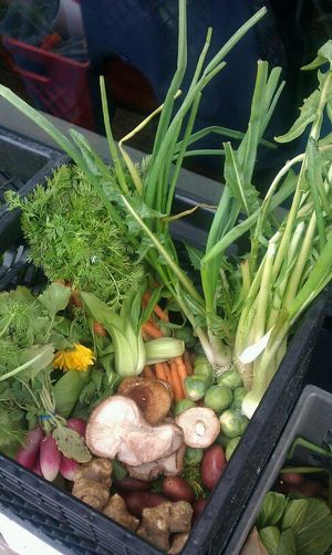 Two New Things in the Inner Sunset and Inner Richmond