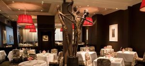 The Venerable Masa's Is Closing