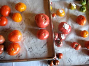 Oliveto Tomato Dinners September 18th-21st