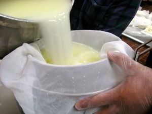 Upcoming Culinary Classes: Knife Skills, Cheese, Chickens, and More