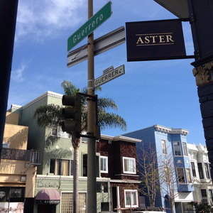 Aster, from Brett Cooper and Daniel Patterson Group, Opening March 31st