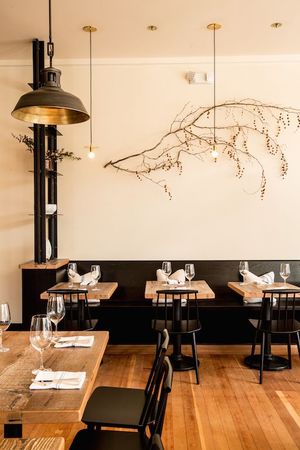 Opening Update This Week: Octavia and Aatxe