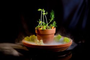 Some Ways to Help with the Earthquake in Nepal, Plus Local Children