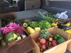 PSA: What to Do With Extra Holiday Food and Other Ways to Help Out this Season