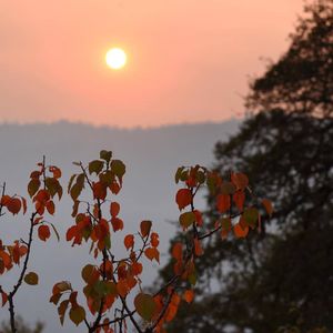 Some Early Ways to Help Victims of the NorCal Fires [UPDATED]