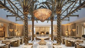 New Openings Include The Palm Court, Mom Dumpling, Elephant Sushi Hayes Valley, Aedan Fermented Foods, Savor, and Much More