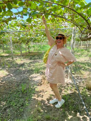 Press Trip to Greece: Let's Learn About Kiwis