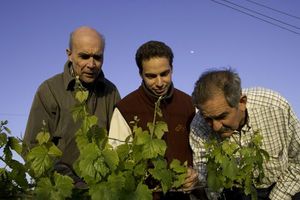 Numb Tax-Time Woes at a Fleur de Lys Wine Dinner on 4/15