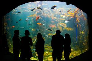 Experience a Chocolate-Covered NightLife on December 16th